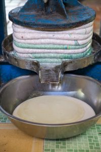 Pressing coconut to make coconut oil